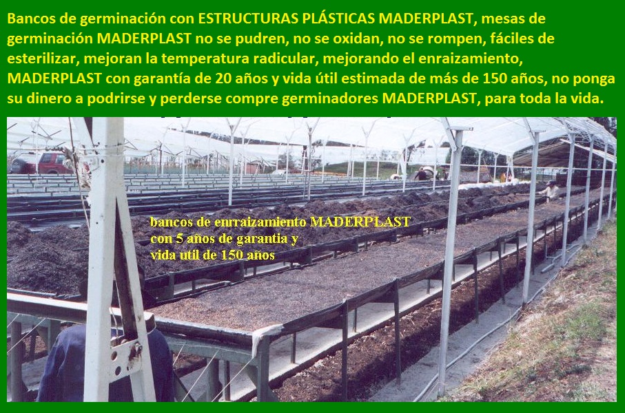 banco para cultivar plantas sembrar plantar germinar enraizar sustrato tierra vegetal cultivo tecnificado de flores legumbres arboles plantas hortalizas en mesón mesa para germinar propagar 005 banco para cultivar plantas sembrar plantar germinar enraizar sustrato tierra vegetal cultivo tecnificado de flores legumbres arboles plantas hortalizas banco para cultivar plantas sembrar plantar germinar enraizar sustrato tierra vegetal cultivo tecnificado de flores legumbres arboles plantas hortalizas en mesón mesa para germinar propagar 005 en mesón mesa para germinar propagar 005